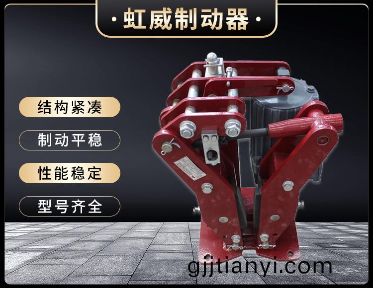 YPZ2-IV-V-VI型電(dian)力液壓盤(pan)式製動器